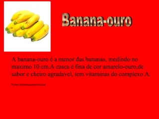 A banana-ouro é a menor das bananas, medindo no
maximo 10 cm.A casca é fina de cor amarelo-ouro,de
sabor e cheiro agradavel, tem vitaminas do complexo A.
Fonte:informacaonutricioal
 