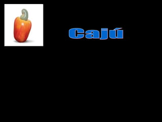 O caju é rico em vitaminas e ferro. É indica do
para febre e impotência sexual, diabetes,
bronquite, entre outras doenças.
 