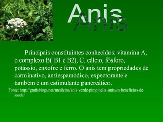 Principais constituintes conhecidos: vitamina A,
   o complexo B( B1 e B2), C, cálcio, fósforo,
   potássio, enxofre e ferro. O anis tem propriedades de
   carminativo, antiespamódico, expectorante e
   também é um estimulante pancreático.
Fonte: http://gratisblogs.net/medicina/anis-verde-pimpinella-anisum-beneficios-de-
   saude/
 
