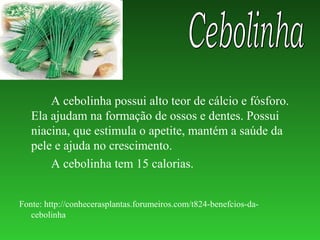 A cebolinha possui alto teor de cálcio e fósforo.
   Ela ajudam na formação de ossos e dentes. Possui
   niacina, que estimula o apetite, mantém a saúde da
   pele e ajuda no crescimento.
       A cebolinha tem 15 calorias.


Fonte: http://conhecerasplantas.forumeiros.com/t824-benefcios-da-
   cebolinha
 
