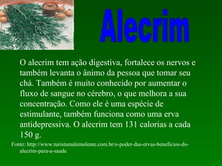 O alecrim tem ação digestiva, fortalece os nervos e
   também levanta o ânimo da pessoa que tomar seu
   chá. Também é muito conhecido por aumentar o
   fluxo de sangue no cérebro, o que melhora a sua
   concentração. Como ele é uma espécie de
   estimulante, também funciona como uma erva
   antidepressiva. O alecrim tem 131 calorias a cada
   150 g.
Fonte: http://www.turistamalemolente.com.br/o-poder-das-ervas-beneficios-do-
   alecrim-para-a-saude
 