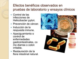 Efectos benéficos observados en pruebas de laboratorio y ensayos clínicosControl de las infecciones de Helicobacter pylori.Prevención de cáncer.Inducción de la respuesta inmune.Apaciguamiento o control de enfermedades gastrointestinales, como diarrea o colon irritable. Restauración de la flora intestinal natural.