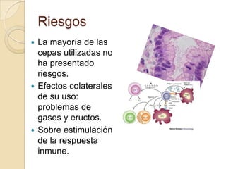 RiesgosLa mayoría de las cepas utilizadas no ha presentado riesgos.Efectos colaterales de su uso: problemas de gases y eructos.Sobre estimulación de la respuesta inmune.