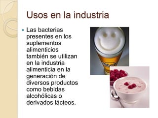 Usos en la industriaLas bacterias presentes en los suplementos alimenticios también se utilizan en la industria alimenticia en la generación de diversos productos como bebidas alcohólicas o derivados lácteos.
