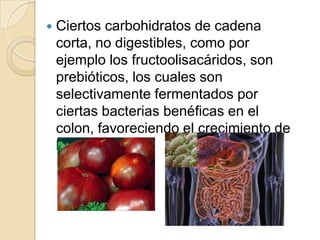 Ciertos carbohidratos de cadena corta, no digestibles, como por ejemplo los fructoolisacáridos, son prebióticos, los cuales son selectivamente fermentados por ciertas bacterias benéficas en el colon, favoreciendo el crecimiento de las mismas.