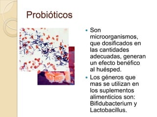 ProbióticosSon microorganismos, que dosificados en las cantidades adecuadas, generan un efecto benéfico  al huésped.Los géneros que mas se utilizan en los suplementos alimenticios son:  Bifidubacterium y Lactobacillus.