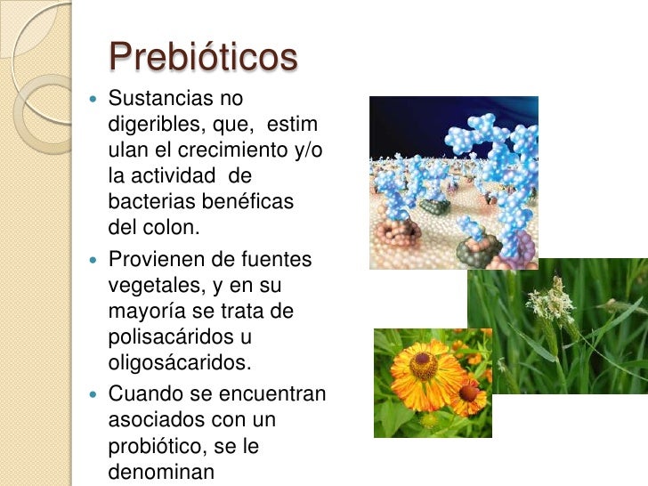 Alimentos Funcionales: Prebioticos y Probioticos.
