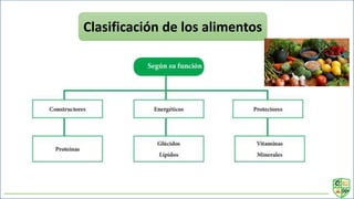 Clasificación de los alimentos
 