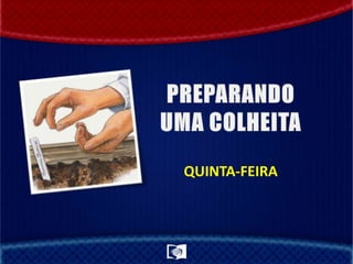 QUINTA-FEIRA
 