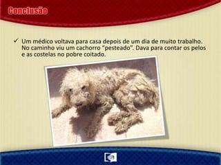  Um médico voltava para casa depois de um dia de muito trabalho.
No caminho viu um cachorro “pesteado”. Dava para contar os pelos
e as costelas no pobre coitado.
 
