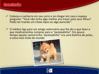  Colocou o cachorro em seu carro e ao chegar em casa a esposa
pergunta: “Você não tinha algo melhor pra trazer para seus filhos?
Podia ter trazido um Lhasa Apso ou algo parecido”.
 O médico liga para um amigo veterinário que lhe diz o que fazer e
que medicamentos comprar para o “pesteadinho”. Em pouco
tempo aquele cachorrinho “pesteadinho” era uma bolinha de pelos,
a coisa mais linda do mundo.
 