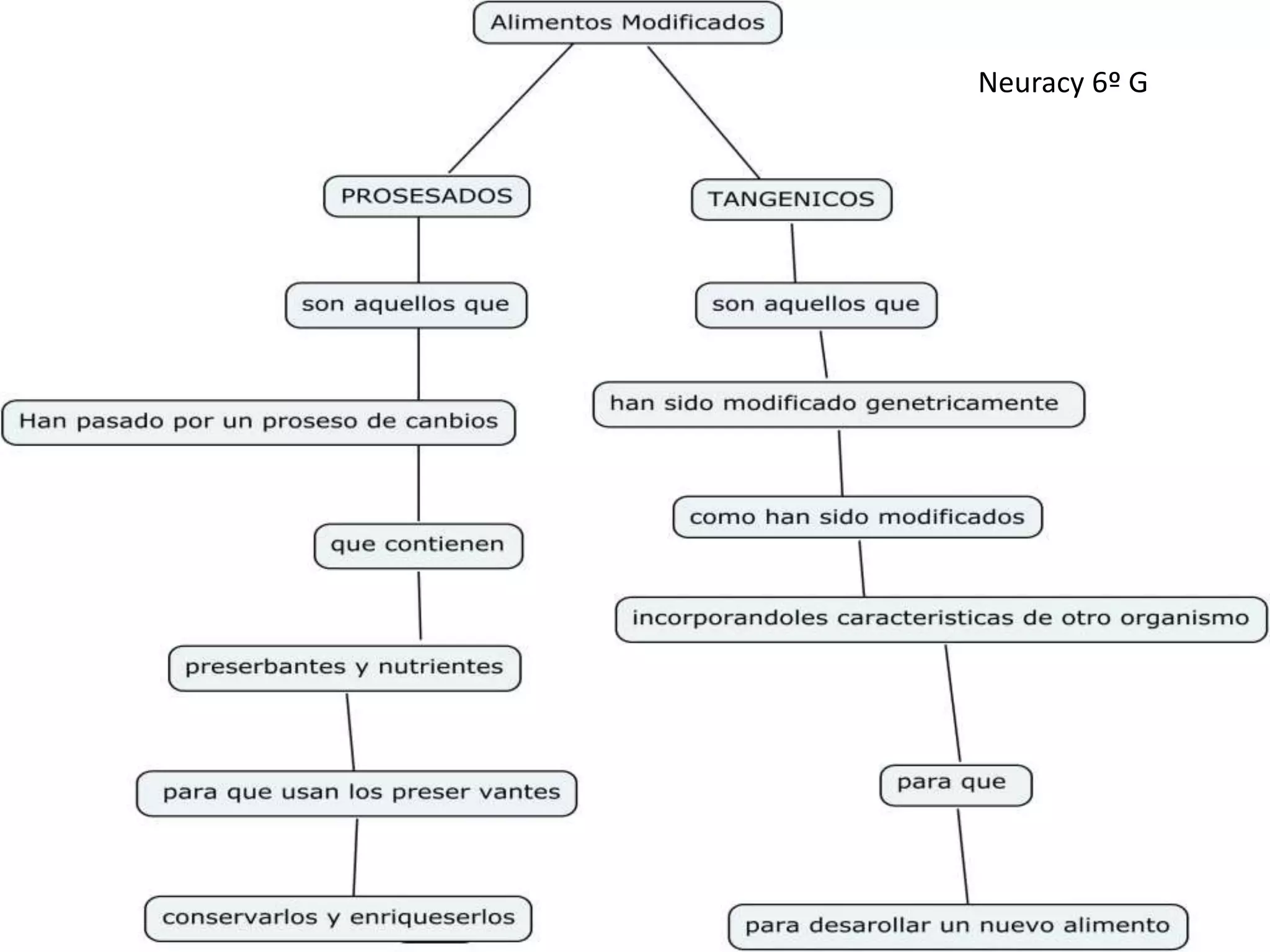 Neuracy 6º G