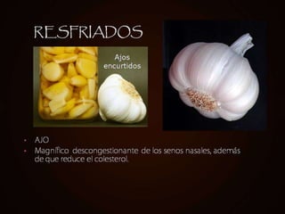 Alimentos naturales y salud.