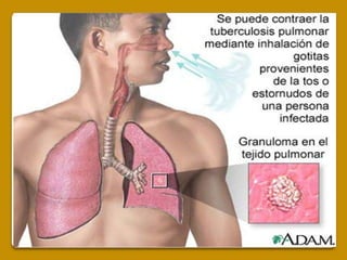 Alimentos naturales y salud.