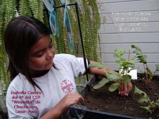 Alimentos naturales y salud.