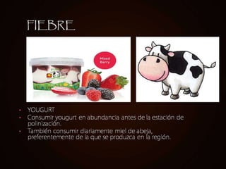 Alimentos naturales y salud.