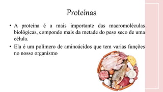 Proteínas
• A proteína é a mais importante das macromoléculas
biológicas, compondo mais da metade do peso seco de uma
célula.
• Ela é um polímero de aminoácidos que tem varias funções
no nosso organismo
 