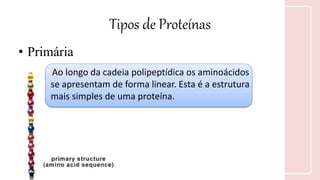 Tipos de Proteínas
• Primária
Ao longo da cadeia polipeptídica os aminoácidos
se apresentam de forma linear. Esta é a estrutura
mais simples de uma proteína.
 