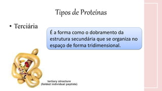 Tipos de Proteínas
• Terciária
É a forma como o dobramento da
estrutura secundária que se organiza no
espaço de forma tridimensional.
 