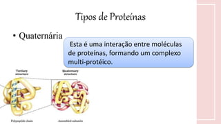 Tipos de Proteínas
• Quaternária
Esta é uma interação entre moléculas
de proteínas, formando um complexo
multi-protéico.
 