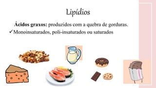 Ácidos graxos: produzidos com a quebra de gorduras.
Monoinsaturados, poli-insaturados ou saturados
Lipídios
 