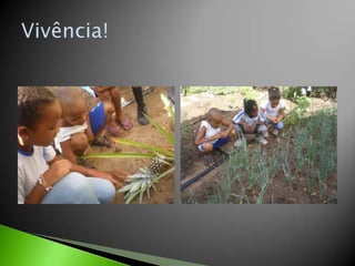 Vivência!
