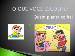 O QUE VOCÊ ESCOLHE?Quemplantacolhe!