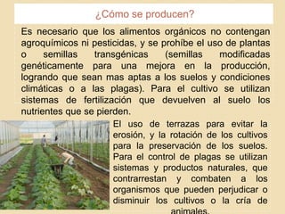 El uso de terrazas para evitar la
erosión, y la rotación de los cultivos
para la preservación de los suelos.
Para el control de plagas se utilizan
sistemas y productos naturales, que
contrarrestan y combaten a los
organismos que pueden perjudicar o
disminuir los cultivos o la cría de
¿Cómo se producen?
Es necesario que los alimentos orgánicos no contengan
agroquímicos ni pesticidas, y se prohíbe el uso de plantas
o semillas transgénicas (semillas modificadas
genéticamente para una mejora en la producción,
logrando que sean mas aptas a los suelos y condiciones
climáticas o a las plagas). Para el cultivo se utilizan
sistemas de fertilización que devuelven al suelo los
nutrientes que se pierden.
 