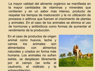 La mayor calidad del alimento orgánico se manifiesta en
la mayor cantidades de vitaminas y minerales que
contienen y en un sabor mas intenso, producto de
respetar los tiempos de maduración y la no utilización de
procesos o aditivos que fuercen el crecimiento de plantas
y animales. En el caso de los animales se elimina el uso
de hormonas y antibióticos como formas de aumentar el
rendimiento de la producción.
En el caso de productos de origen
animal como huevos, leche y
carnes los animales son
alimentados con alimentos
naturales y criados en forma más
humana. Los animales no sufren
estrés, se desplazan libremente
por el campo (se evita el
cautiverio, el maltrato y la
 