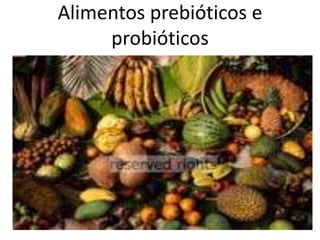 Alimentos prebióticos e probióticos 