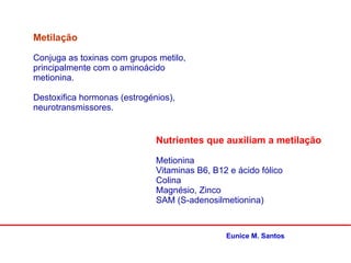 Metilação
Conjuga as toxinas com grupos metilo,
principalmente com o aminoácido
metionina.
Destoxifica hormonas (estrogénios),
neurotransmissores.
Nutrientes que auxiliam a metilação
Metionina
Vitaminas B6, B12 e ácido fólico
Colina
Magnésio, Zinco
SAM (S-adenosilmetionina)
Eunice M. Santos
 