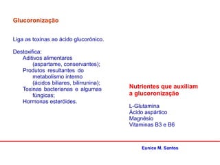 Glucoronização
Liga as toxinas ao ácido glucorónico.
Destoxifica:
Aditivos alimentares
(aspartame, conservantes);
Produtos resultantes do
metabolismo interno
(ácidos biliares, bilirrunina);
Toxinas bacterianas e algumas
fúngicas;
Hormonas esteróides.
Nutrientes que auxiliam
a glucoronização
L-Glutamina
Ácido aspártico
Magnésio
Vitaminas B3 e B6
Eunice M. Santos
 