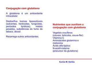 Conjugação com glutationa
A glutationa é um antioxidante
intracelular.
Destoxifica toxinas lipossolúveis
(solventes, herbicidas, fungicidas,
peróxidos lipídicos), metais
pesados, substâncias do fumo do
tabaco, álcool.
Recarrega outros antioxidantes.
Nutrientes que auxiliam a
conjugação com glutationa
Vegetais crucíferos
(couves, bróculos, couve-flor)
Vitamina C
Aminoácidos glutamina e
metionina
Ácido alfa-lipóico
N-acetil-cisteína
(precursor da glutationa)
Eunice M. Santos
 