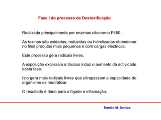 Fase I do processo de Destoxificação
Realizada principalmente por enzimas citocromo P450.
As toxinas são oxidadas, reduzidas ou hidrolizadas obtendo-se
no final produtos mais pequenos e com cargas eléctricas.
Este processo gera radicais livres.
A exposição excessiva a tóxicos induz o aumento da actividade
desta fase.
Isto gera mais radicais livres que ultrapassam a capacidade do
organismo os neutralizar.
O resultado é dano para o fígado e inflamação.
Eunice M. Santos
 