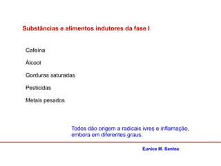 Substâncias e alimentos indutores da fase I
Cafeína
Álcool
Gorduras saturadas
Pesticidas
Metais pesados
Todos dão origem a radicais ivres e inflamação,
embora em diferentes graus.
Eunice M. Santos
 