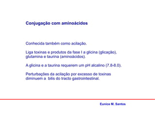 Conjugação com aminoácidos
Conhecida também como acilação.
Liga toxinas e produtos da fase I a glicina (glicação),
glutamina e taurina (aminoácidos).
A glicina e a taurina requerem um pH alcalino (7.8-8.0).
Perturbações da acilação por excesso de toxinas
diminuem a bilis do tracto gastrointestinal.
Eunice M. Santos
 