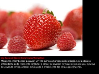Um Soco no Câncer Com Frutas Vermelhas
Morangos e framboesas possuem um fito químico chamado ácido elágico. Este poderoso
antioxidante pode realmente combater o câncer de diversas formas e de uma só vez, inclusive
desativando certos cânceres diminuindo o crescimento das células cancerígenas.
 