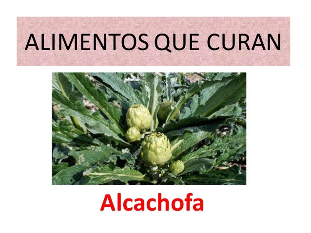 libro alimentos que curan alimentos que curan 14 libro alimentos que curan alimentos que curan 14
