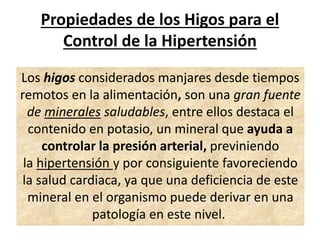 Propiedades de los Higos para el
Control de la Hipertensión
Los higos considerados manjares desde tiempos
remotos en la alimentación, son una gran fuente
de minerales saludables, entre ellos destaca el
contenido en potasio, un mineral que ayuda a
controlar la presión arterial, previniendo
la hipertensión y por consiguiente favoreciendo
la salud cardiaca, ya que una deficiencia de este
mineral en el organismo puede derivar en una
patología en este nivel.
 