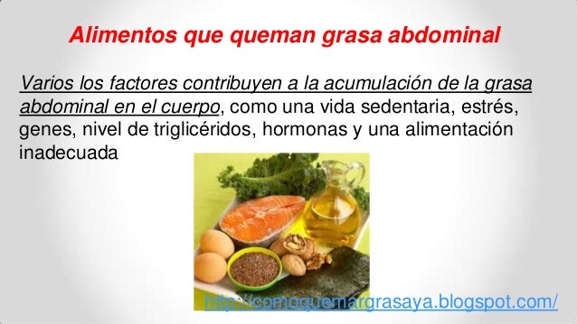 alimentos quema grasa abdominal 10 alimentos que queman grasa abdominal alimentos quema grasa abdominal 10 alimentos que queman grasa abdominal