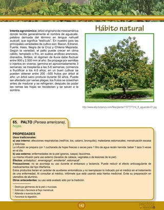 142
http://www.ebp-botanics.com/files/planta/1157777314_ft_aguacate-01.jpg
Interés agronómico: árbol originario de mesoamérica
donde recibe generalmente el nombre de aguacate,
palabra derivada del término en lengua nahuatl
auácatl, que significa “testículo”. En nuestro país las
principales variedades de cultivo son: Bacon, Edranol,
Fuerte, Hass, Negra de la Cruz y Chilena Mejorada.
Según la variedad, el palto puede crecer en clima
cálido, templado o frío, en suelos arcilloso arenosos,
drenados, fértiles; el régimen de lluvia debe fluctuar
entre 900 y 2.500 mm al año. Se propaga por semillas
o injertos en viveros; germina en aproximadamente 3
semanas; se trasplanta a las 5-6 semanas; comienza
a fructificar a los 4-5 años; en un buen cultivar se
pueden obtener entre 200 –500 frutos por árbol al
año; un árbol sano produce durante 50 años. Puede
ser afectado por varias plagas; los frutos se cosechan
antes de madurar y se refrigeran; después de podar
las ramas las hojas se recolectan y se secan a la
sombra.
65. PALTO (Persea americana),
hojas.
PROPIEDADES
Usos tradicionales:
a) uso interno: afecciones respiratorias (resfríos, tos, catarro, bronquitis); malestares estomacales; menstruación escasa
y dolorosa.
La infusión se prepara con 1 cucharada de hojas frescas o secas para 1 litro de agua recién hervida: beber 1 taza 3 veces
en el día.
b) uso externo: enfermedades de la piel (granos, caspa); leucorrea.
La misma infusión para uso externo (lavados de cabeza, vaginales o de lesiones de la piel).
Efectos: antiséptico1
, emenagogo2
, emoliente3
, estomacal4
.
Precauciones: no se aconseja su uso durante el embarazo y lactancia. Puede reducir el efecto anticoagulante de
medicamentos del tipo Warfarina.
Estos productos tienen el carácter de auxiliares sintomáticos y no reemplazan lo indicado por el médico en el tratamiento
de una enfermedad. Al consultar al médico, infórmele que está usando esta hierba medicinal. Evite su preparación en
utensilios de aluminio.
Otros antecedentes: su uso está avalado sólo por la tradición.
---------------------
1
. Destruye gérmenes de la piel o mucosas.
2
. Estimula o favorece el flujo menstrual.
3
. Ablanda o suaviza la piel.
4
. Favorece la digestión.
!
Hábito natural
 
