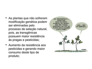 ●
    As plantas que não sofreram
    modificação genética podem
    ser eliminadas pelo
    processo de seleção natural,
    pois, as transgênicas
    possuem maior resistência
    às pragas e pesticidas;
●
    Aumento da resistência aos
    pesticidas e gerando maior
    consumo deste tipo de
    produto;
 