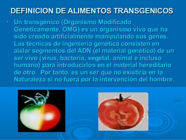 definicion de alimentos transgenicos alimentos transg 233 nicos definicion de alimentos transgenicos alimentos transg 233 nicos