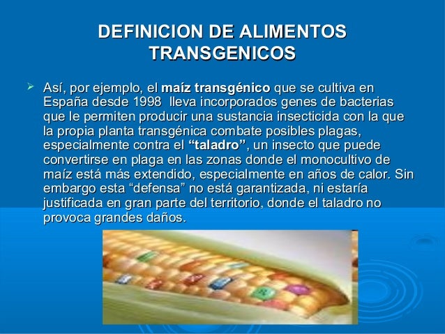 definicion de alimentos transgenicos alimentos transg 233 nicos definicion de alimentos transgenicos alimentos transg 233 nicos