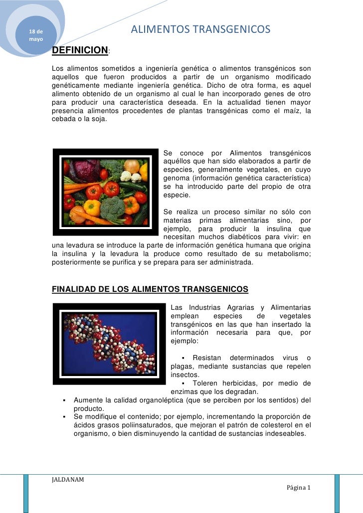 definicion de alimentos transgenicos alimentos transgenicos definicion de alimentos transgenicos alimentos transgenicos
