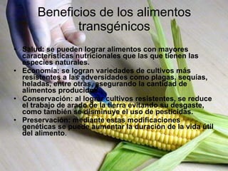 Beneficios de los alimentos transgénicos Salud: se pueden lograr alimentos con mayores características nutricionales que las que tienen las especies naturales. Economía: se logran variedades de cultivos más resistentes a las adversidades como plagas, sequías, heladas, entre otras, asegurando la cantidad de alimentos producidos. Conservación: al lograr cultivos resistentes, se reduce el trabajo de arado de la tierra evitando su desgaste, como también se disminuye el uso de pesticidas. Preservación: mediante estas modificaciones genéticas se puede aumentar la duración de la vida útil del alimento . 