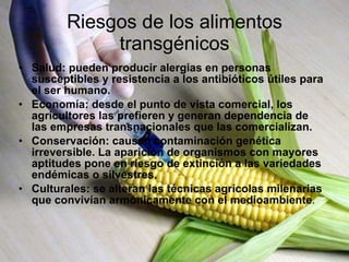 Riesgos de los alimentos transgénicos Salud: pueden producir alergias en personas susceptibles y resistencia a los antibióticos útiles para el ser humano. Economía: desde el punto de vista comercial, los agricultores las prefieren y generan dependencia de las empresas transnacionales que las comercializan. Conservación: causan contaminación genética irreversible. La aparición de organismos con mayores aptitudes pone en riesgo de extinción a las variedades endémicas o silvestres. Culturales: se alteran las técnicas agrícolas milenarias que convivían armónicamente con el medioambiente .  