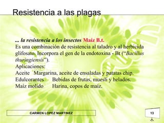 13CARMEN LOPEZ MARTINEZ
... la resistencia a los insectos Maíz B.t.
Es una combinación de resistencia al taladro y al herbicida
glifosato. Incorpora el gen de la endotoxina - Bt (“Bacillus
thuringiensis”).
Aplicaciones:
Aceite Margarina, aceite de ensaladas y patatas chip.
Edulcorantes Bebidas de frutas, muesli y helados.
Maíz molido Harina, copos de maíz.
Resistencia a las plagas
 
