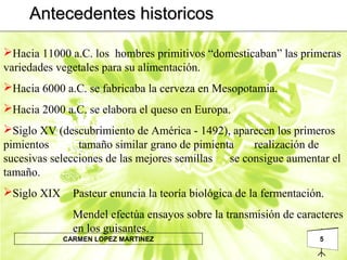 5CARMEN LOPEZ MARTINEZ
Antecedentes historicosAntecedentes historicos
Hacia 11000 a.C. los hombres primitivos “domesticaban” las primeras
variedades vegetales para su alimentación.
Hacia 6000 a.C. se fabricaba la cerveza en Mesopotamia.
Hacia 2000 a.C. se elabora el queso en Europa.
Siglo XV (descubrimiento de América - 1492), aparecen los primeros
pimientos tamaño similar grano de pimienta realización de
sucesivas selecciones de las mejores semillas se consigue aumentar el
tamaño.
Siglo XIX Pasteur enuncia la teoría biológica de la fermentación.
Mendel efectúa ensayos sobre la transmisión de caracteres
en los guisantes.
 