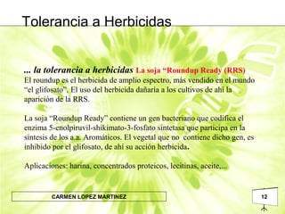 12CARMEN LOPEZ MARTINEZ
... la tolerancia a herbicidas La soja “Roundup Ready (RRS)
El roundup es el herbicida de amplio espectro, más vendido en el mundo
“el glifosato”. El uso del herbicida dañaría a los cultivos de ahí la
aparición de la RRS.
La soja “Roundup Ready” contiene un gen bacteriano que codifica el
enzima 5-enolpiruvil-shikimato-3-fosfato sintetasa que participa en la
síntesis de los a.a. Aromáticos. El vegetal que no contiene dicho gen, es
inhibido por el glifosato, de ahí su acción herbicida.
Aplicaciones: harina, concentrados proteicos, lecitinas, aceite,...
Tolerancia a Herbicidas
 